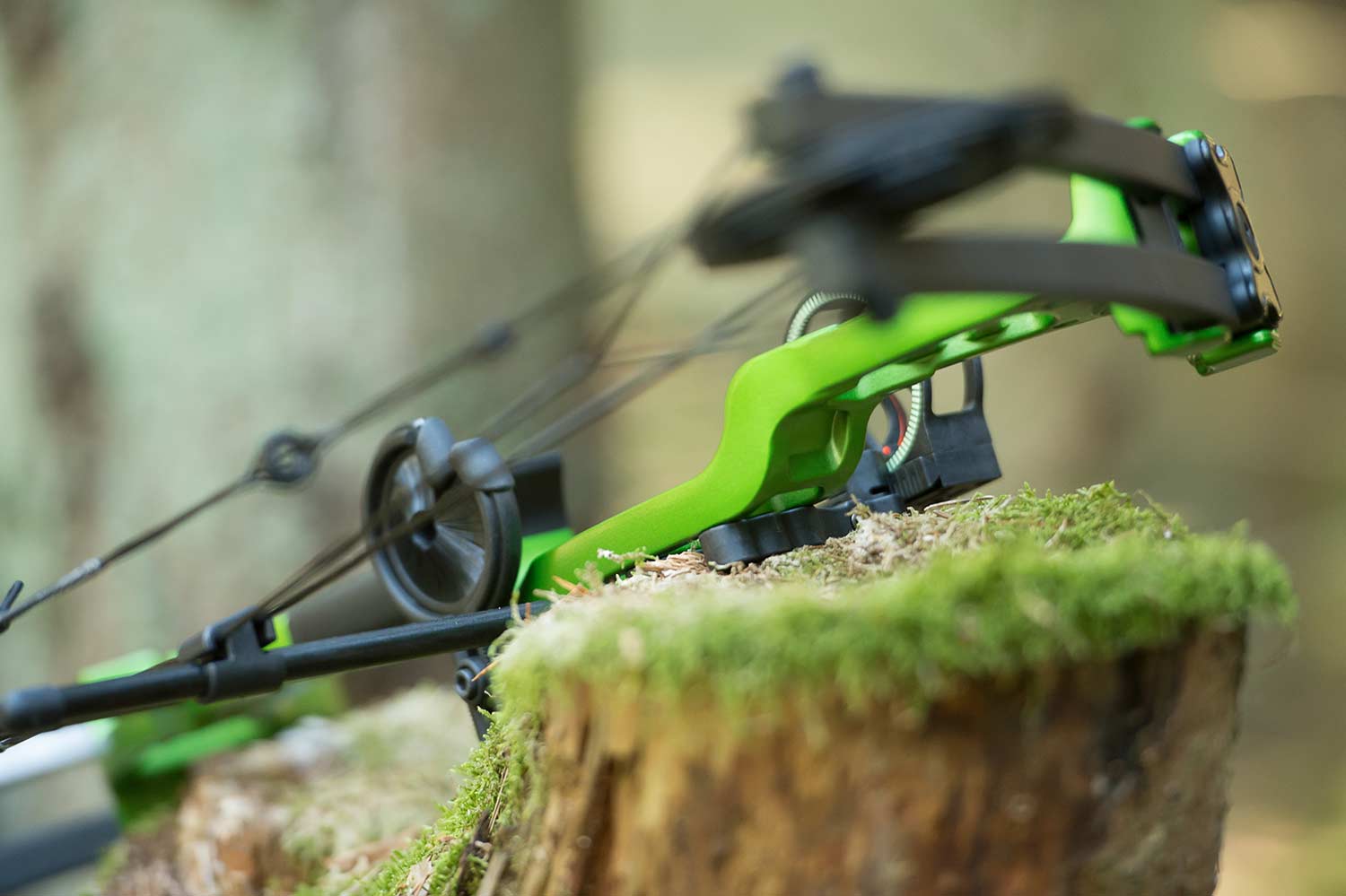 Precision Archer -Precision Archer banner compound alle boegen